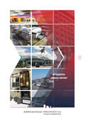 Integrated annual report 2020
